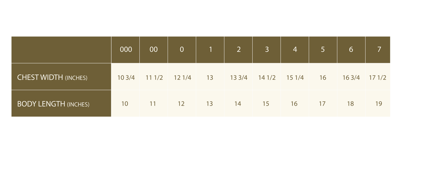 Grown Organic raglan pull over - River